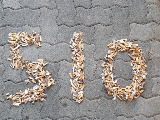 11. Juli 2024