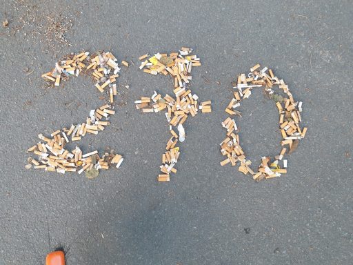 20. Mai 2024