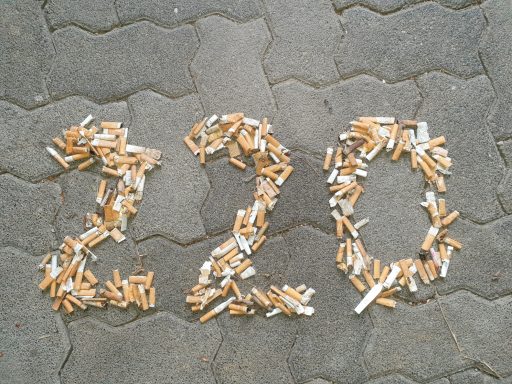 08. September 2024